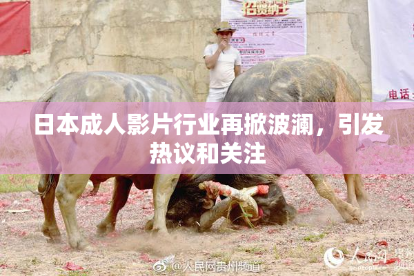 日本成人影片行业再掀波澜，引发热议和关注