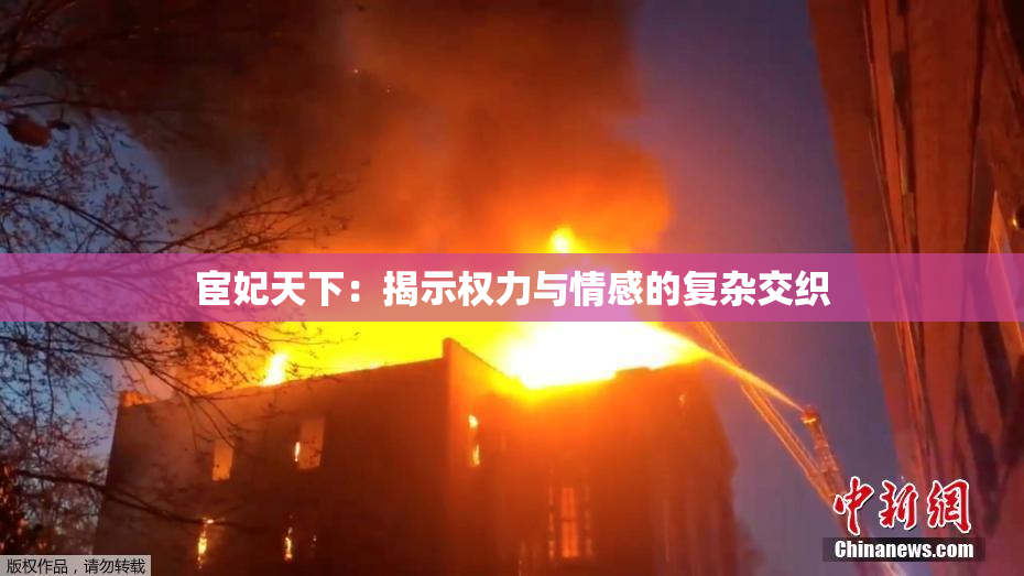 宦妃天下：揭示权力与情感的复杂交织