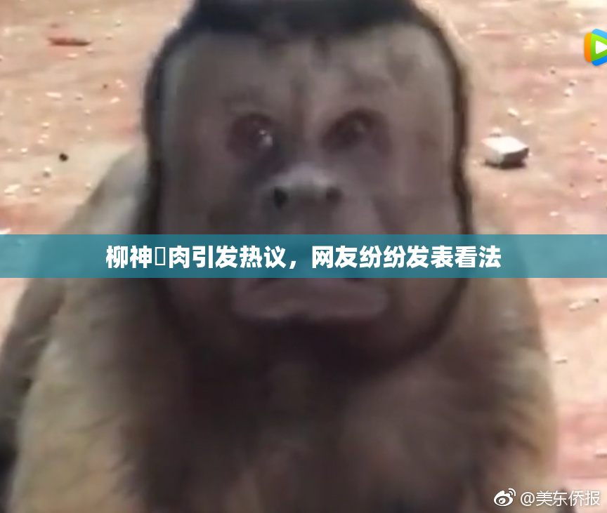 柳神婬肉引发热议，网友纷纷发表看法