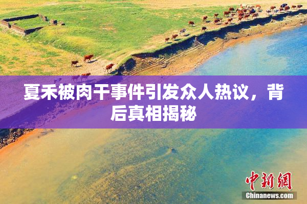 夏禾被肉干事件引发众人热议，背后真相揭秘