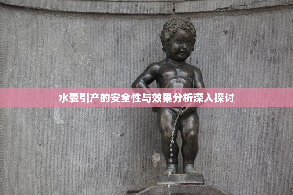 水囊引产的安全性与效果分析深入探讨