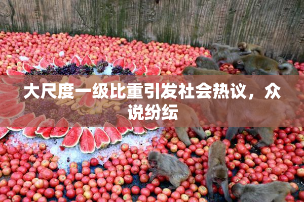 大尺度一级比重引发社会热议，众说纷纭