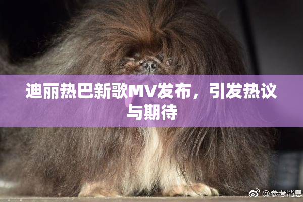 迪丽热巴新歌MV发布，引发热议与期待