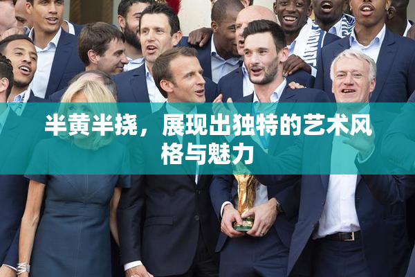 半黄半挠，展现出独特的艺术风格与魅力