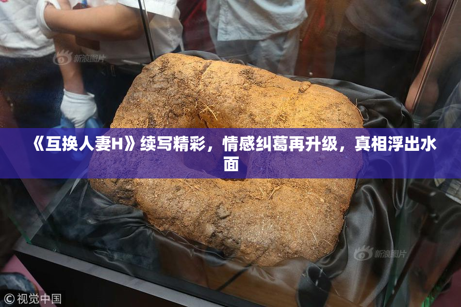 《互换人妻H》续写精彩，情感纠葛再升级，真相浮出水面