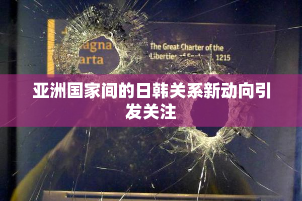 亚洲国家间的日韩关系新动向引发关注