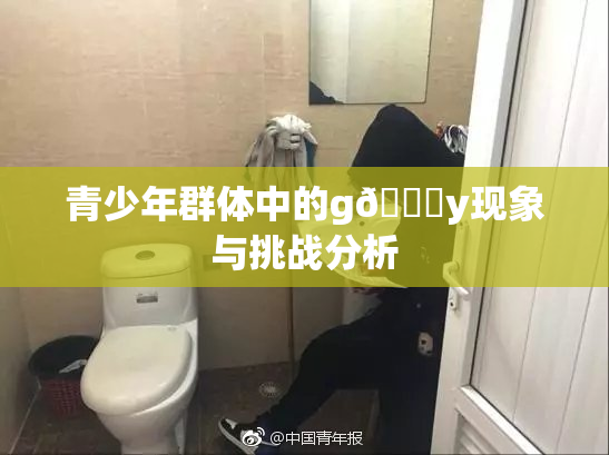 青少年群体中的g🈚y现象与挑战分析