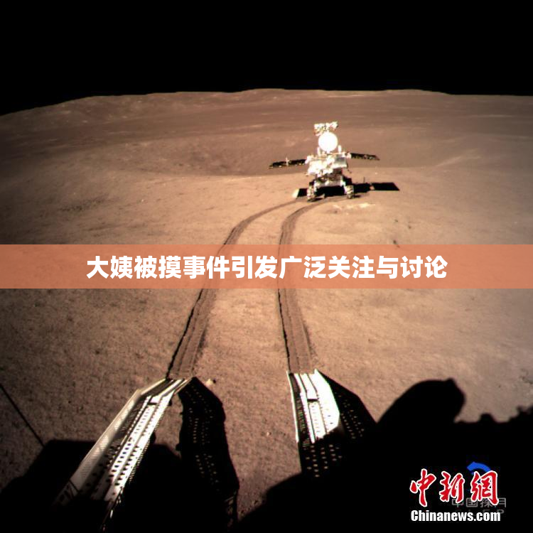 大姨被摸事件引发广泛关注与讨论