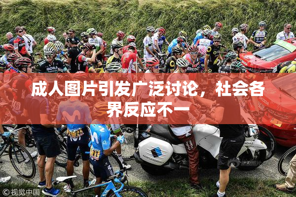 成人图片引发广泛讨论，社会各界反应不一