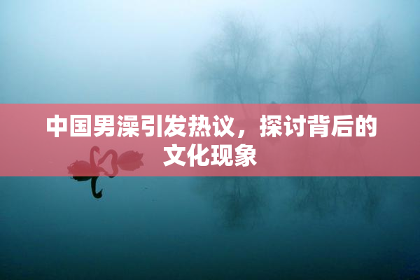 中国男澡引发热议，探讨背后的文化现象