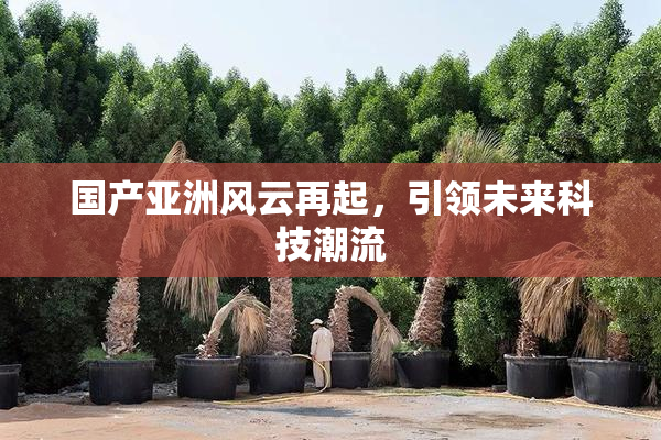 国产亚洲风云再起，引领未来科技潮流
