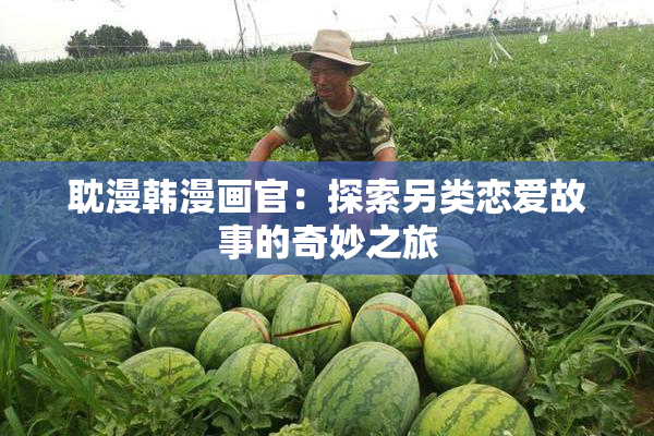 耽漫韩漫画官：探索另类恋爱故事的奇妙之旅