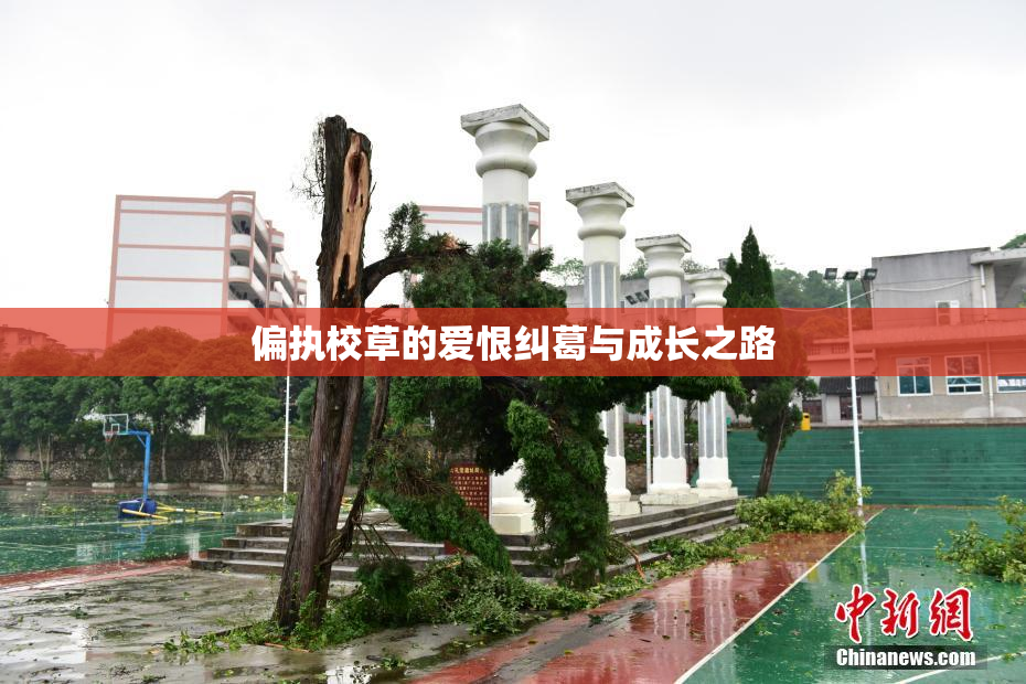 偏执校草的爱恨纠葛与成长之路