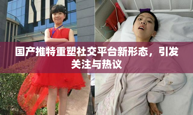 国产推特重塑社交平台新形态，引发关注与热议