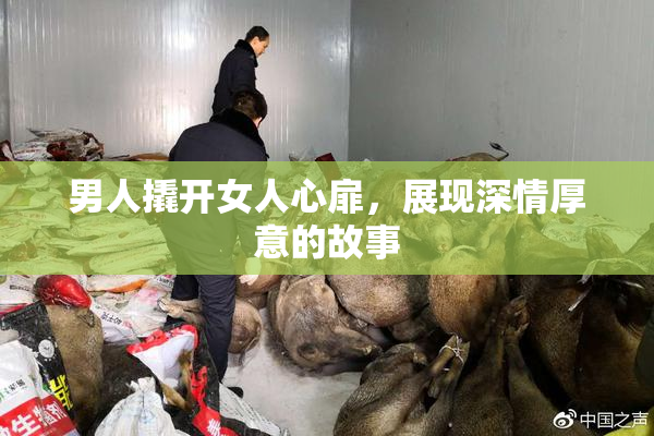 男人撬开女人心扉，展现深情厚意的故事
