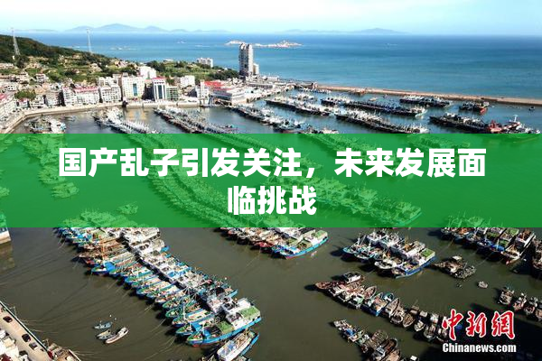 国产乱子引发关注，未来发展面临挑战
