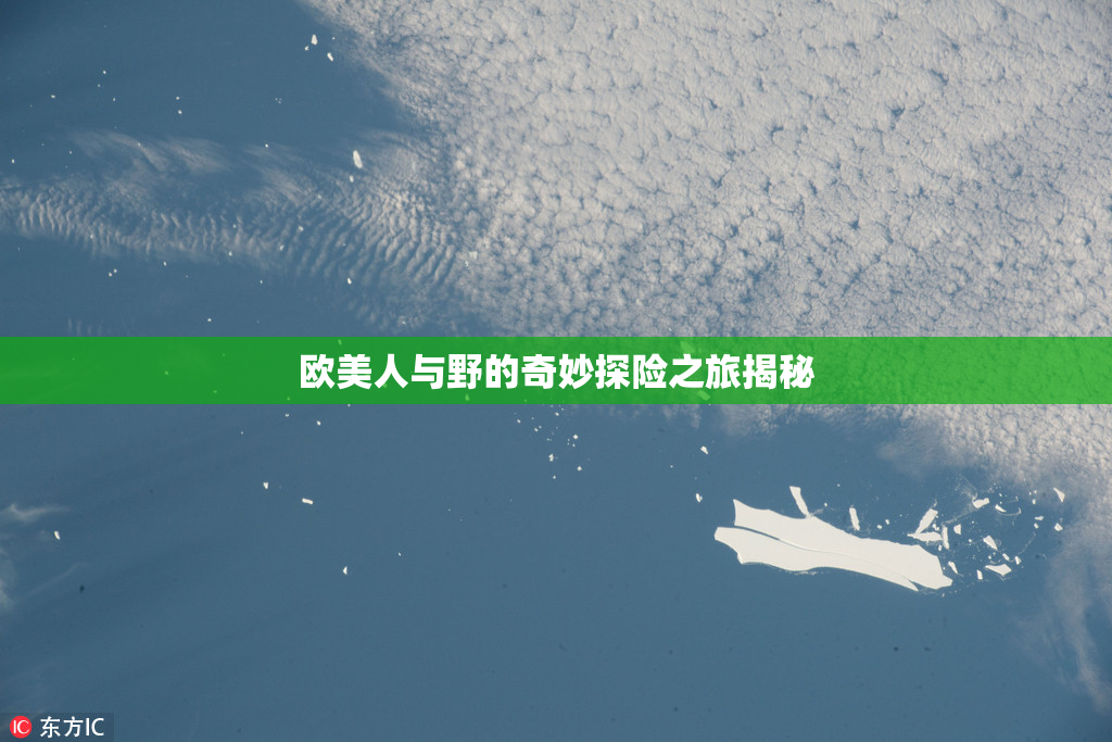 欧美人与野的奇妙探险之旅揭秘