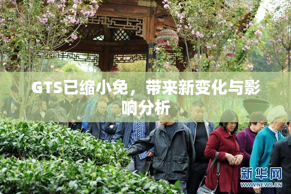 GTS已缩小免，带来新变化与影响分析