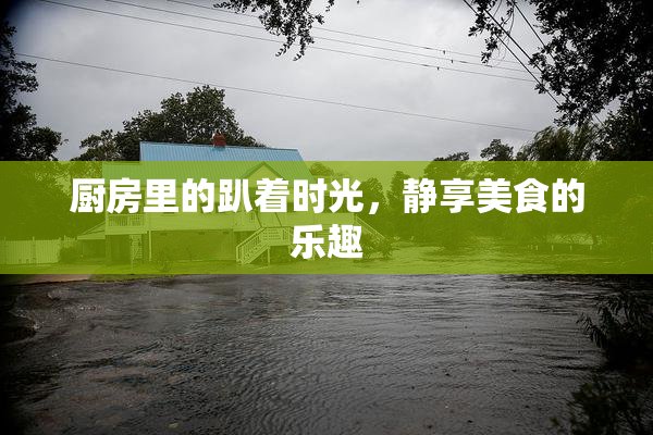厨房里的趴着时光，静享美食的乐趣