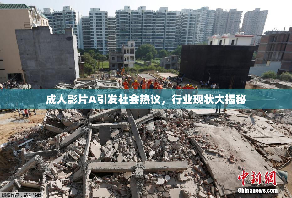 成人影片A引发社会热议，行业现状大揭秘