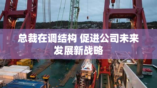 总裁在调结构 促进公司未来发展新战略