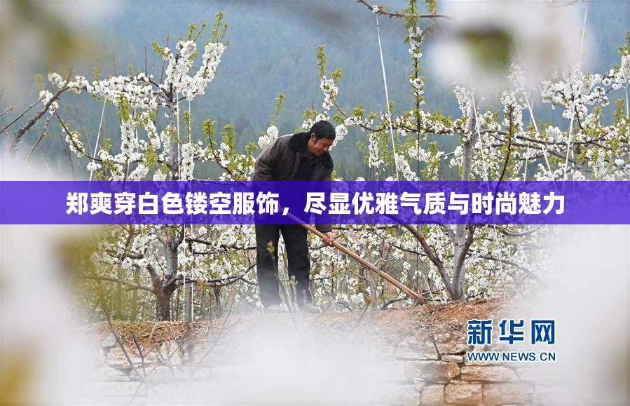 郑爽穿白色镂空服饰，尽显优雅气质与时尚魅力