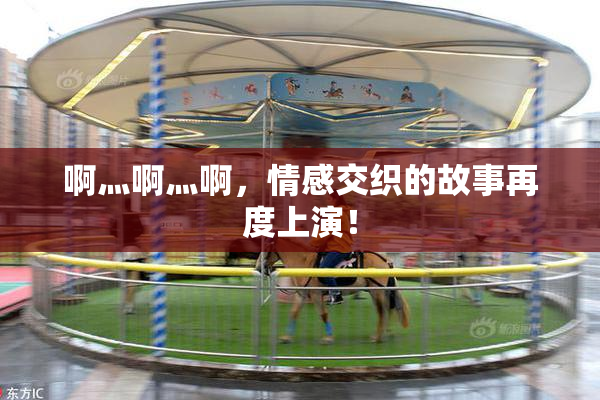 啊灬啊灬啊，情感交织的故事再度上演！