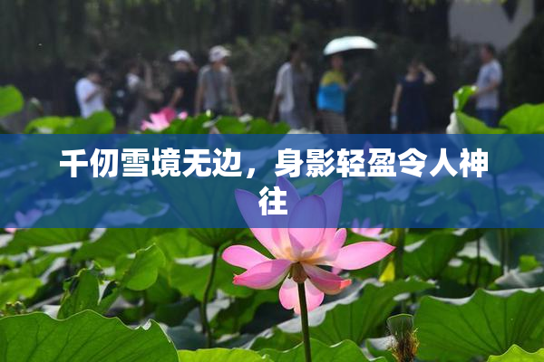 千仞雪境无边，身影轻盈令人神往