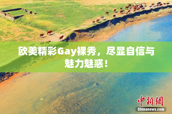 欧美精彩Gay裸秀，尽显自信与魅力魅惑！