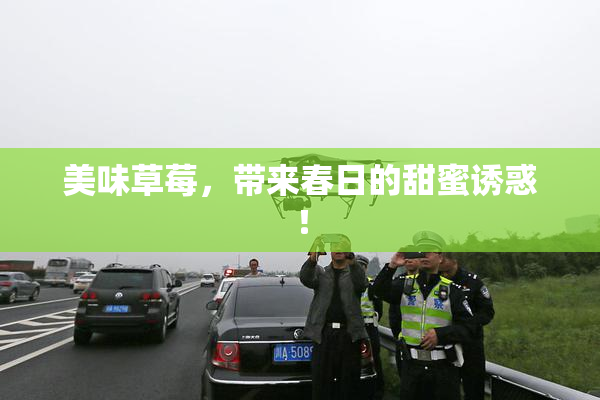 美味草莓，带来春日的甜蜜诱惑！