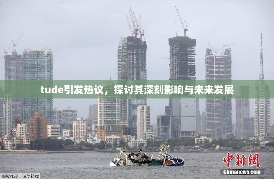 tude引发热议，探讨其深刻影响与未来发展
