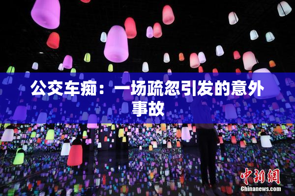 公交车痴：一场疏忽引发的意外事故