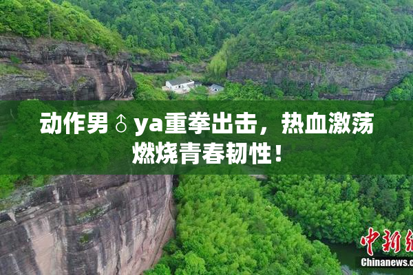 动作男♂ya重拳出击，热血激荡燃烧青春韧性！