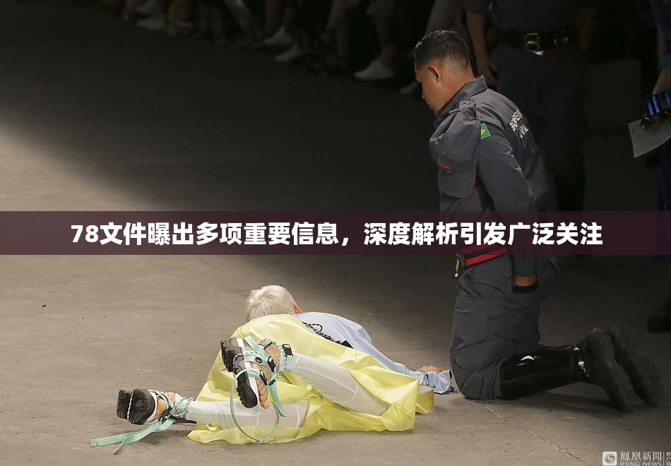 78文件曝出多项重要信息，深度解析引发广泛关注