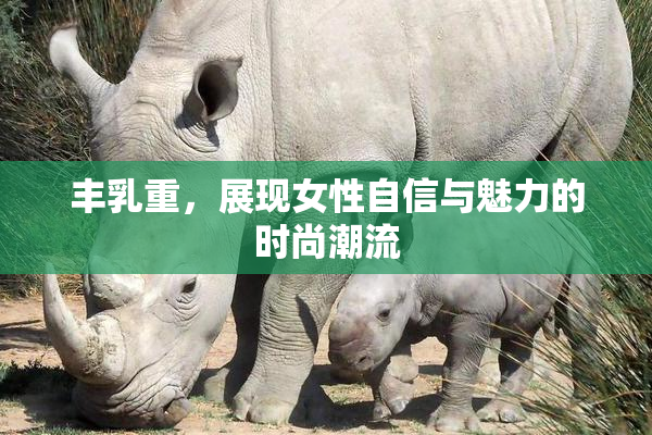 丰乳重，展现女性自信与魅力的时尚潮流