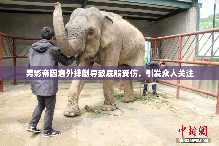 男影帝因意外摔倒导致屁股受伤，引发众人关注