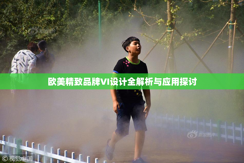 欧美精致品牌VI设计全解析与应用探讨