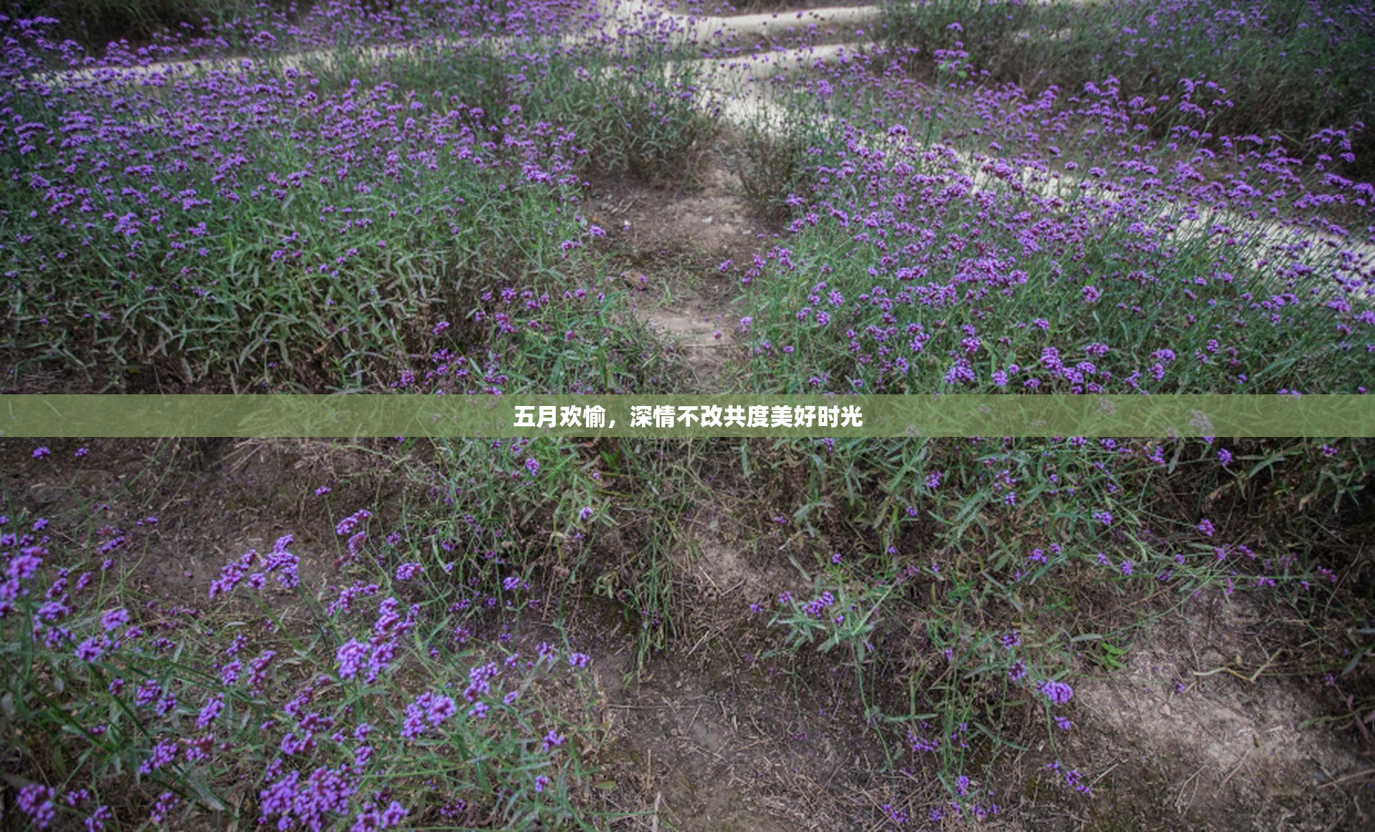 五月欢愉，深情不改共度美好时光