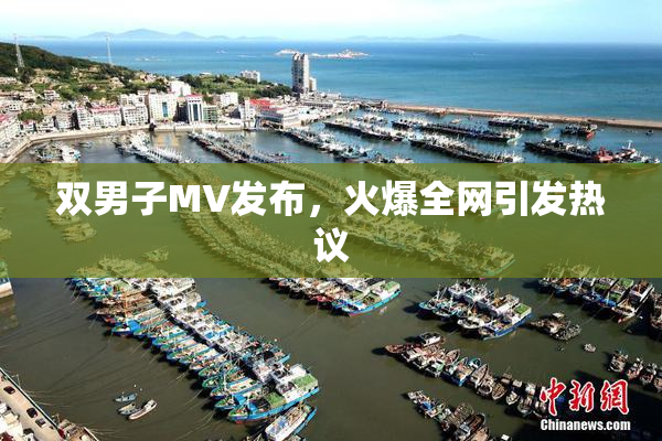 双男子MV发布，火爆全网引发热议