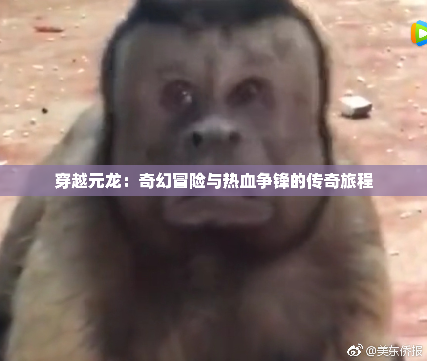 穿越元龙：奇幻冒险与热血争锋的传奇旅程