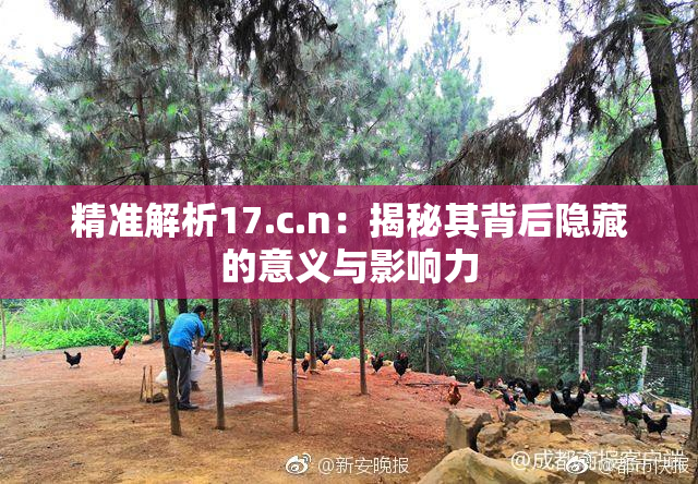 精准解析17.c.n：揭秘其背后隐藏的意义与影响力