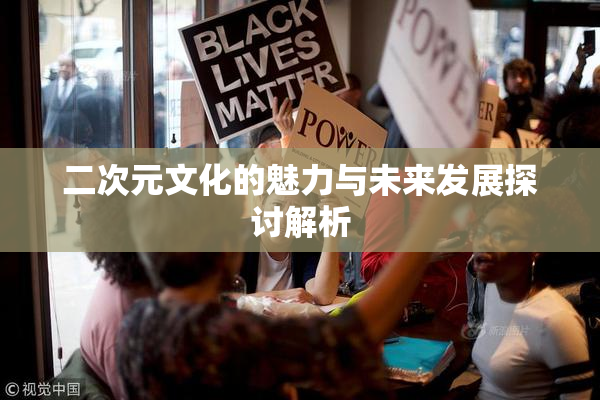 二次元文化的魅力与未来发展探讨解析