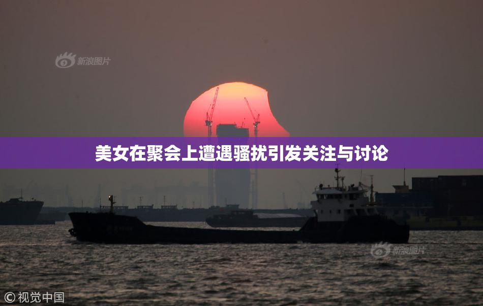 美女在聚会上遭遇骚扰引发关注与讨论