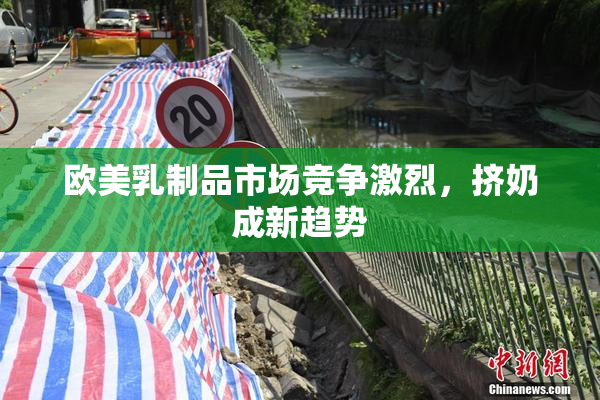 欧美乳制品市场竞争激烈，挤奶成新趋势