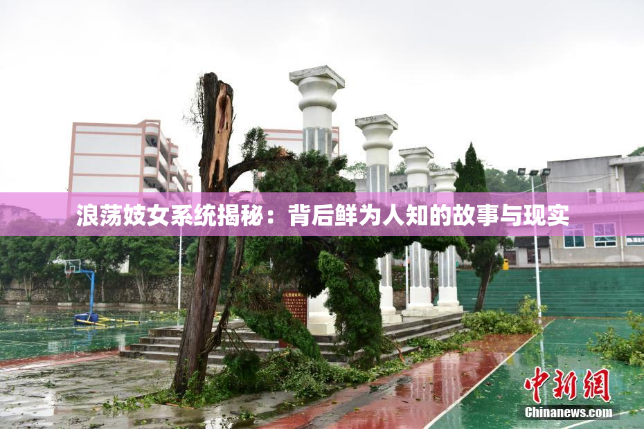 浪荡妓女系统揭秘：背后鲜为人知的故事与现实