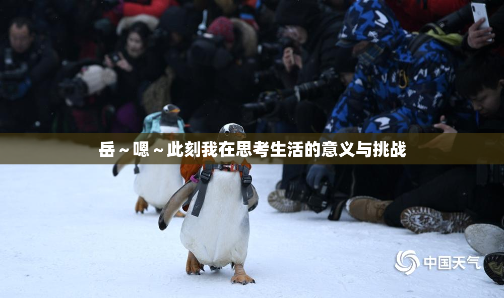 岳～嗯～此刻我在思考生活的意义与挑战