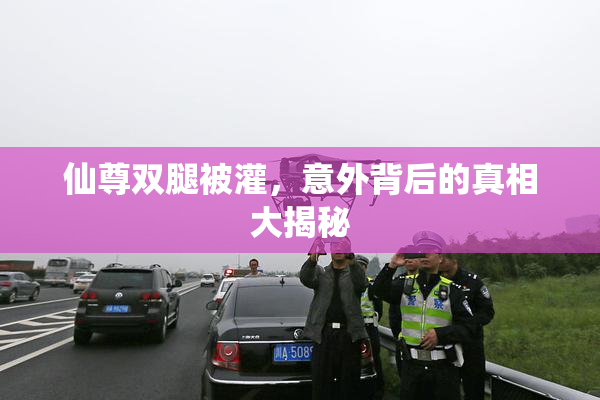 仙尊双腿被灌，意外背后的真相大揭秘