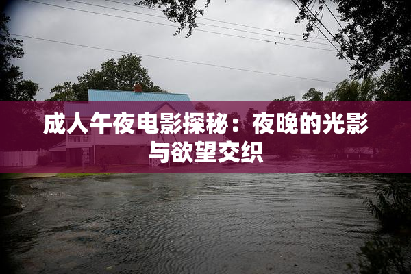 成人午夜电影探秘：夜晚的光影与欲望交织