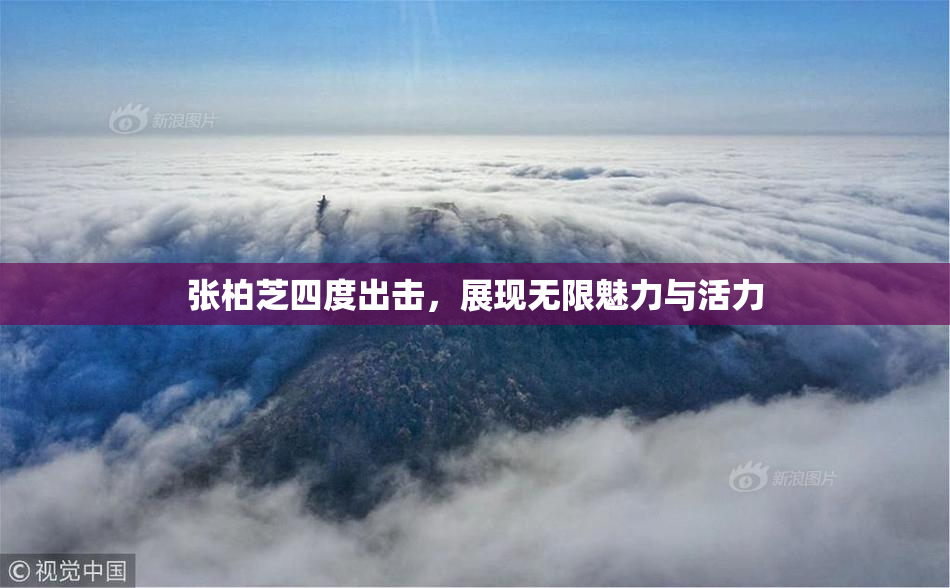 张柏芝四度出击，展现无限魅力与活力