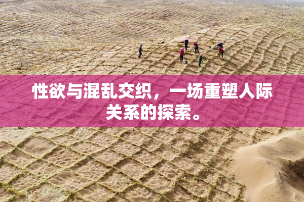 性欲与混乱交织，一场重塑人际关系的探索。